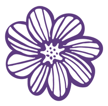 http://www.frogmoreflowers.com/wp-content/uploads/2023/05/daisy-flower-purple.png
