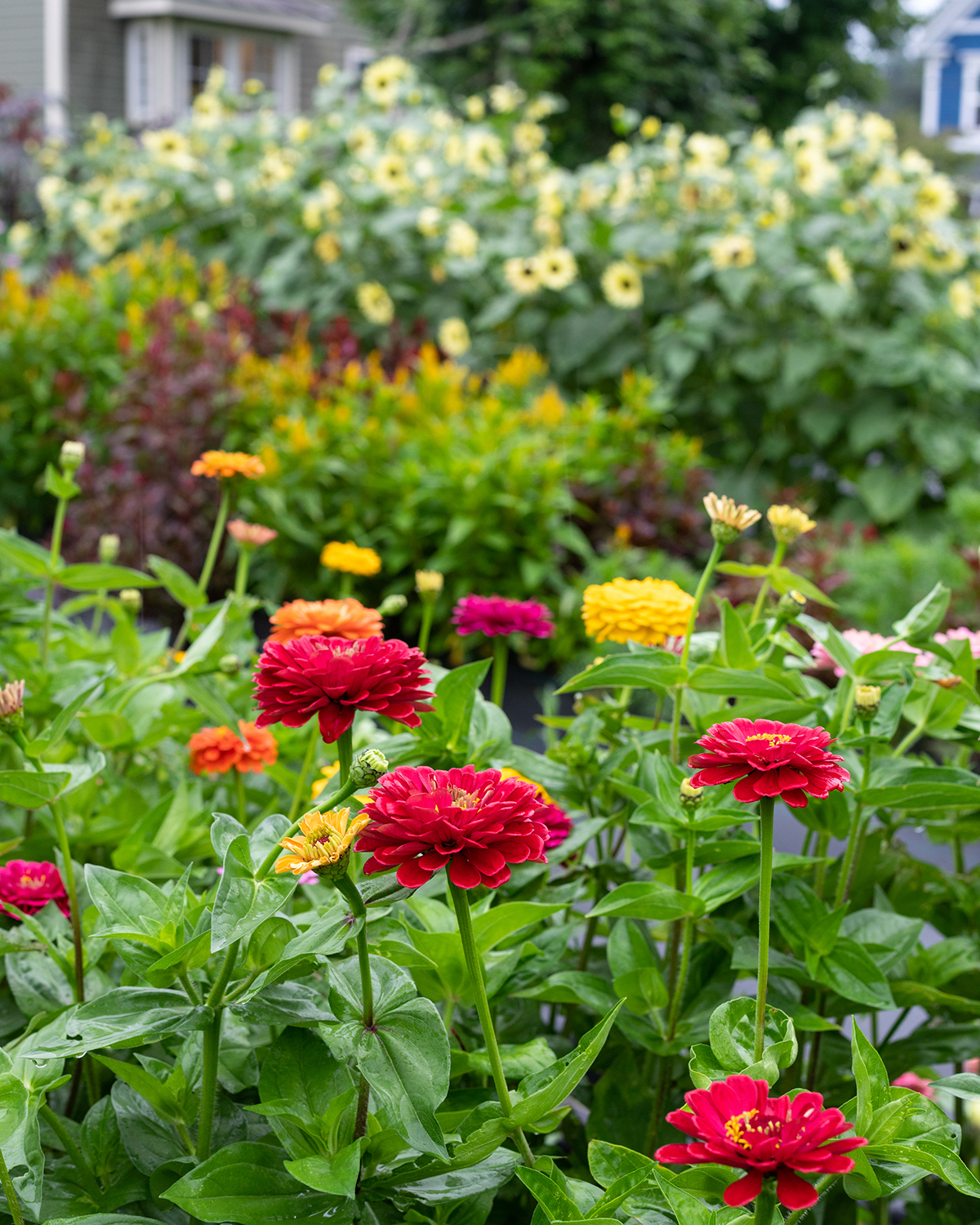 https://www.frogmoreflowers.com/wp-content/uploads/2023/03/frogmore-flower-photo7.jpg