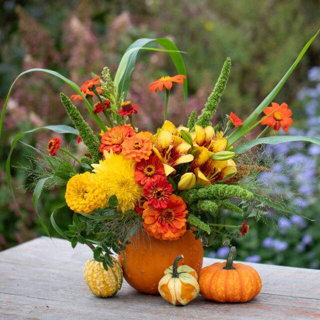 Pumpkins and Posies flower arranging workshop
